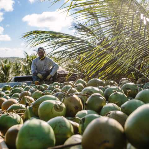 Obrigado – Built a true impact coconut brand