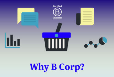 Why B Corp and why now?